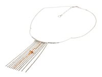 Collana Cesare Paciotti Donna San Valentino 12 in Argento JPCL0763B